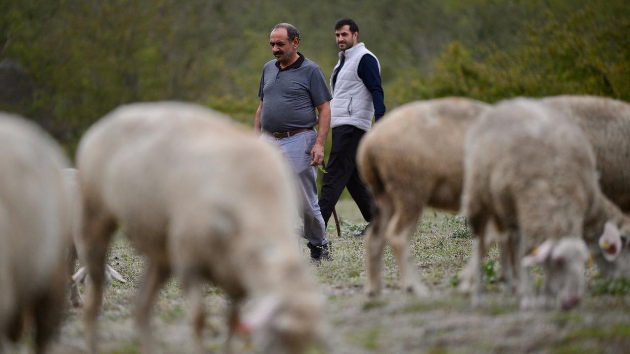 Anadolu Agency