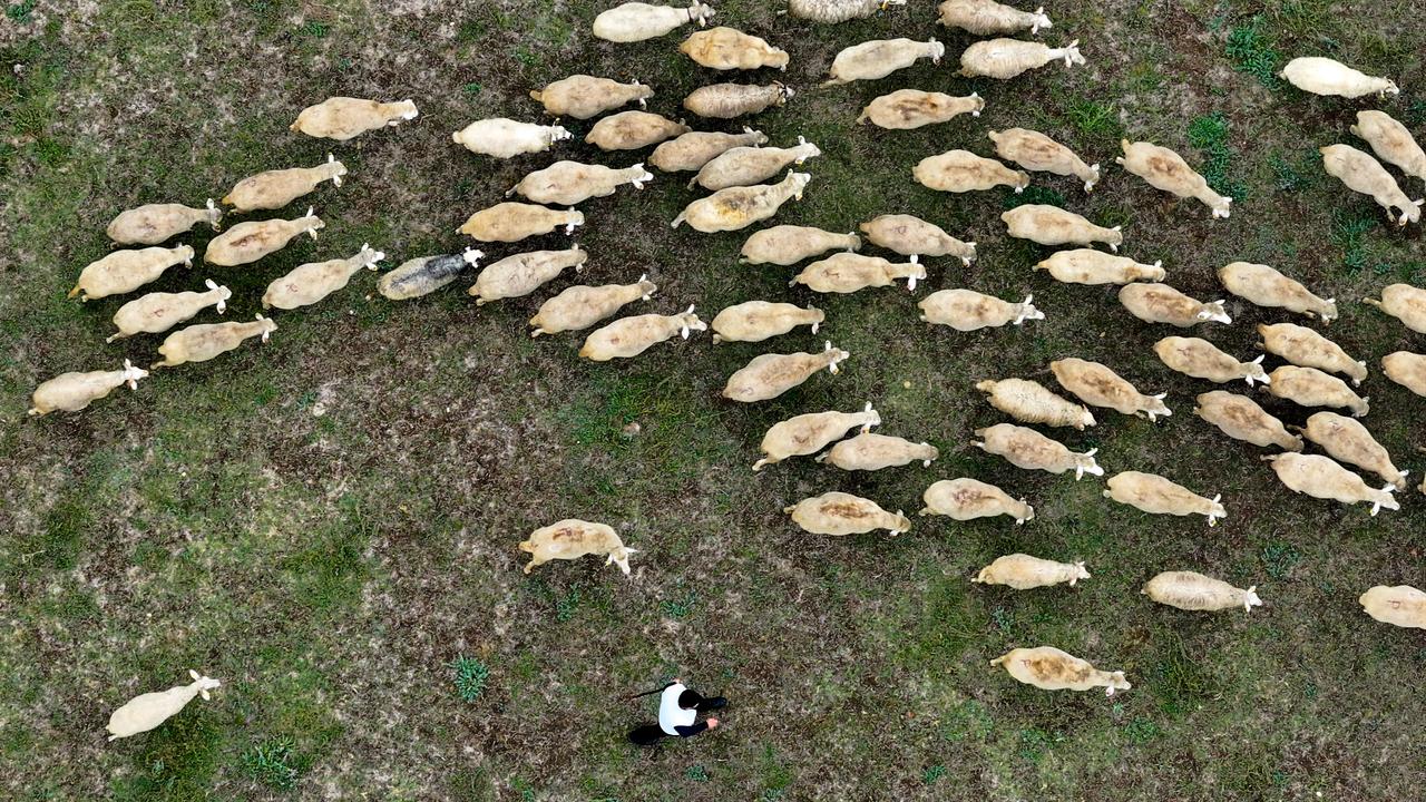 Anadolu Agency