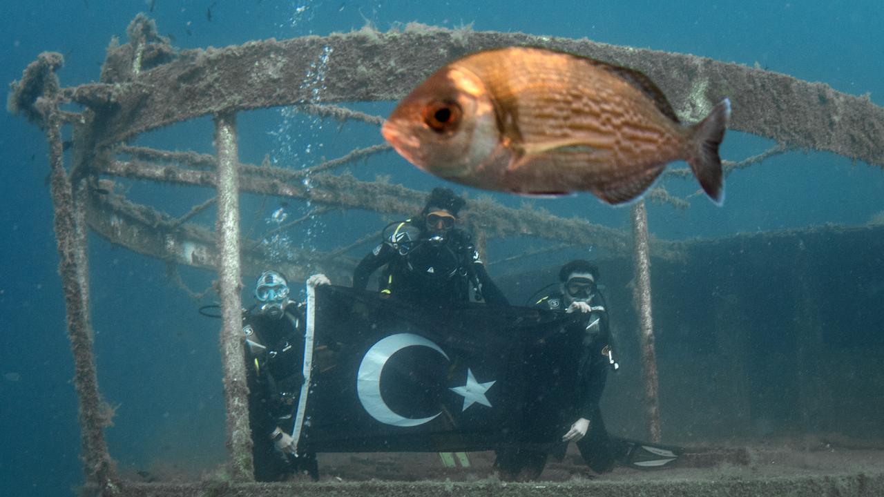 Diving into Karaburun's hidden underwater world