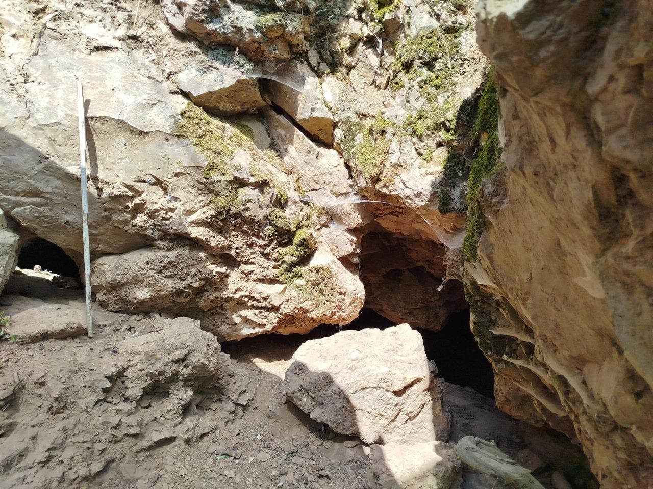 An entrance section of Inkaya Cave in Canakkale, where archaeologists are carrying out excavations into Paleolithic occupation layers. (IHA Photo)