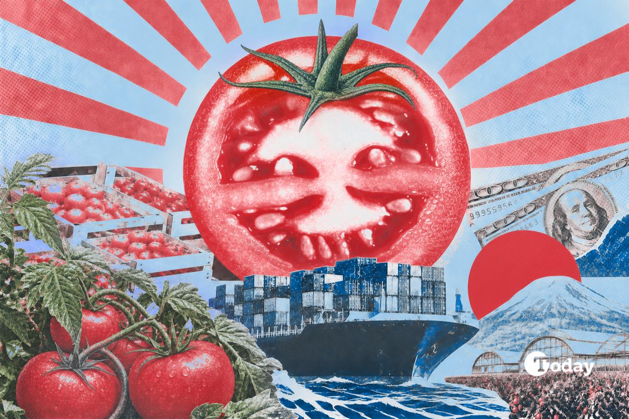 How Türkiye grabbed Russia by the tomatoes 