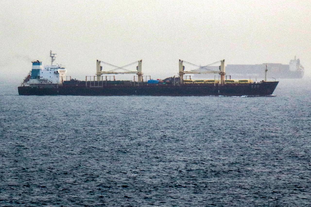 Houthis tell EU they won't target European ships in Red Sea Image