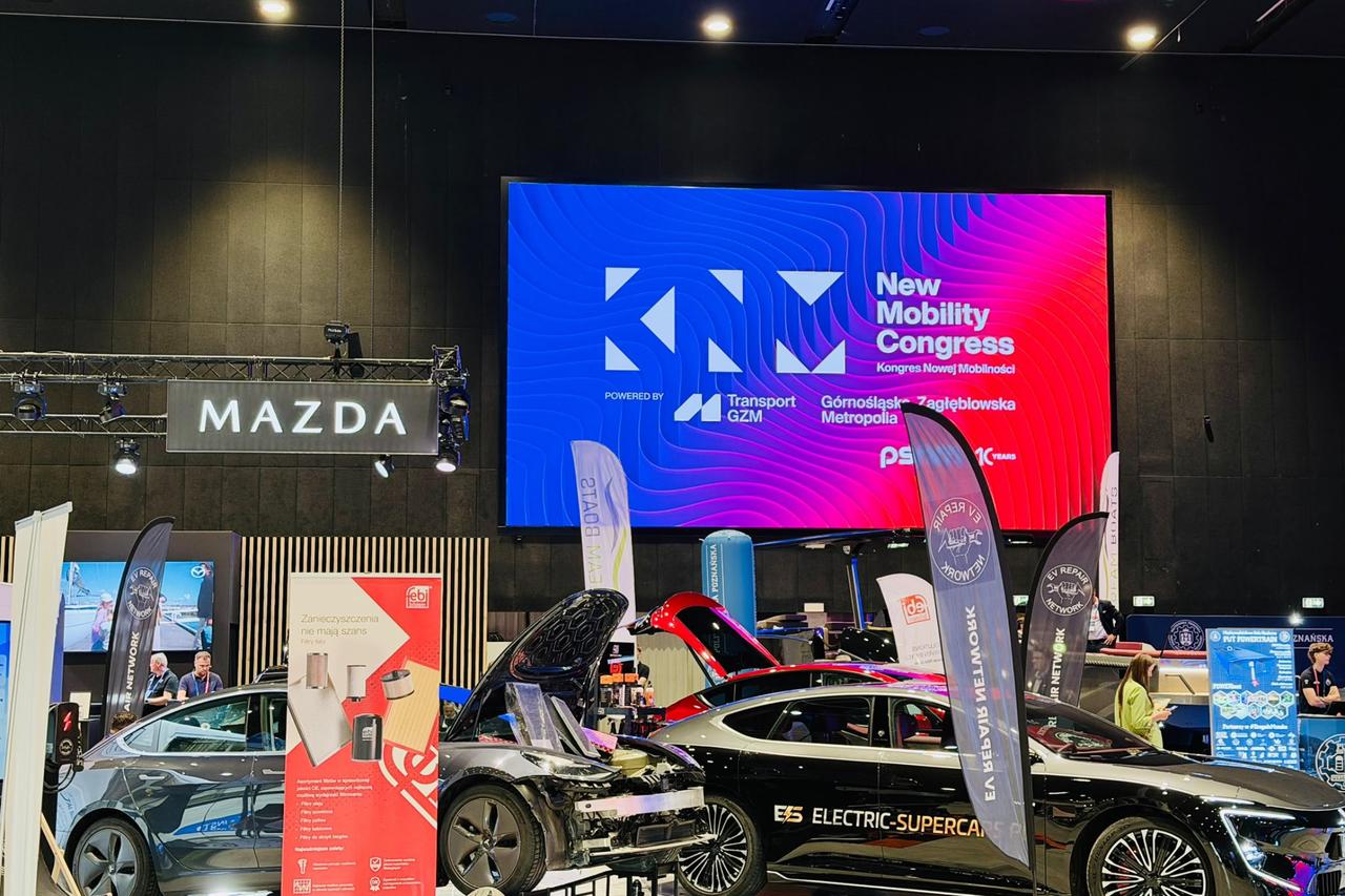 Turkish autos gain edge over Chinese rivals with Customs Union, Polish official says
