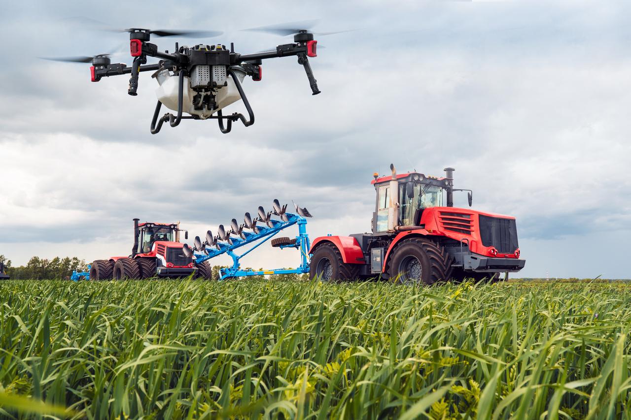 World Bank funds $750M for Türkiye’s agrifood transformation project