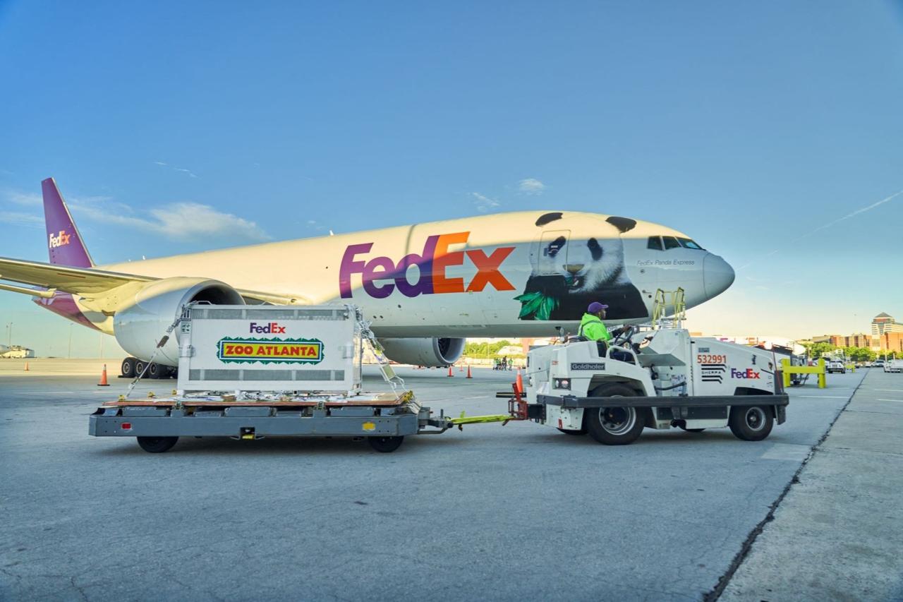 Giant pandas arrive in Atlanta after Xi-Trump Washington summit