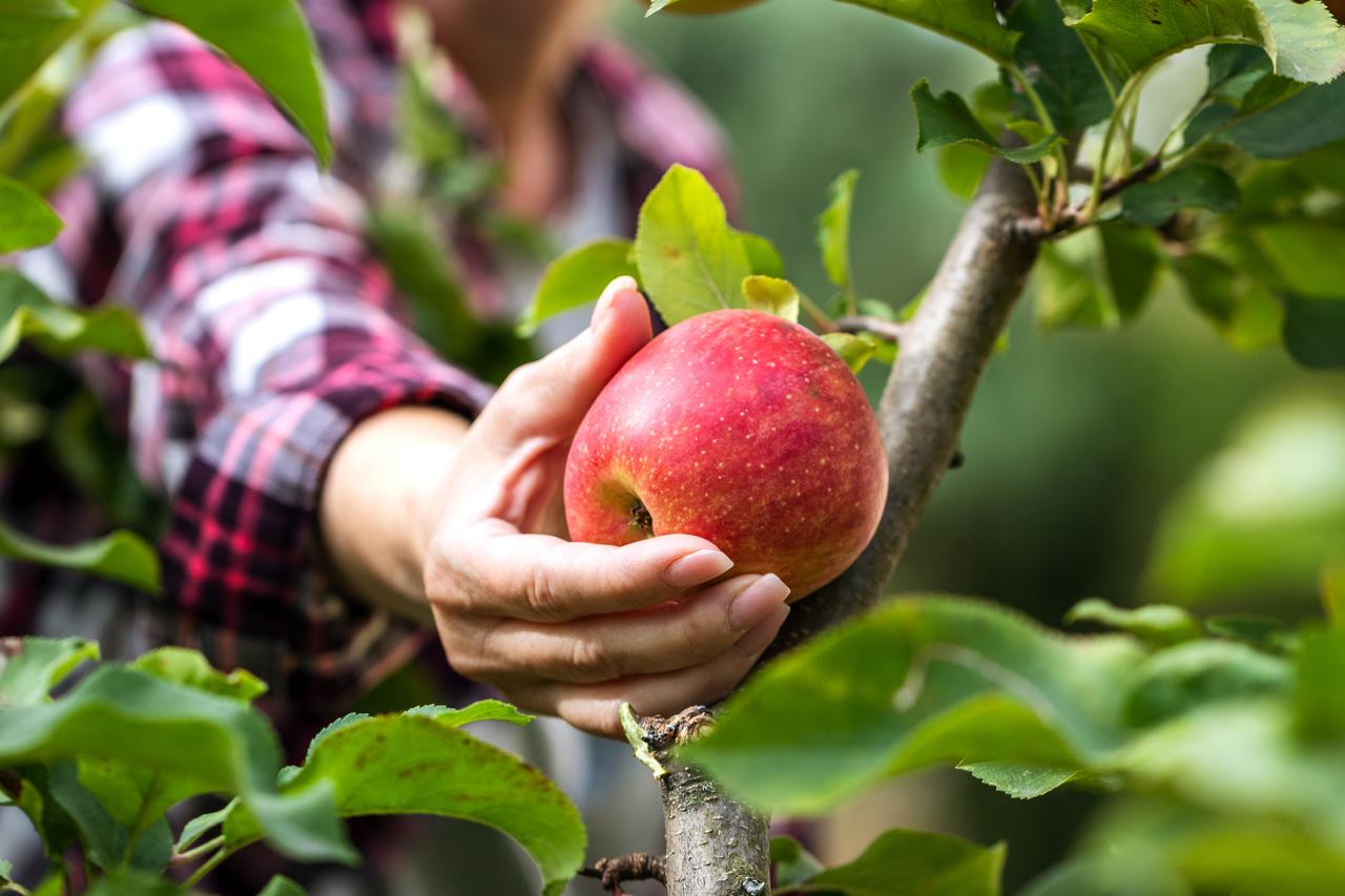 Climate change is changing what ends up on your plate