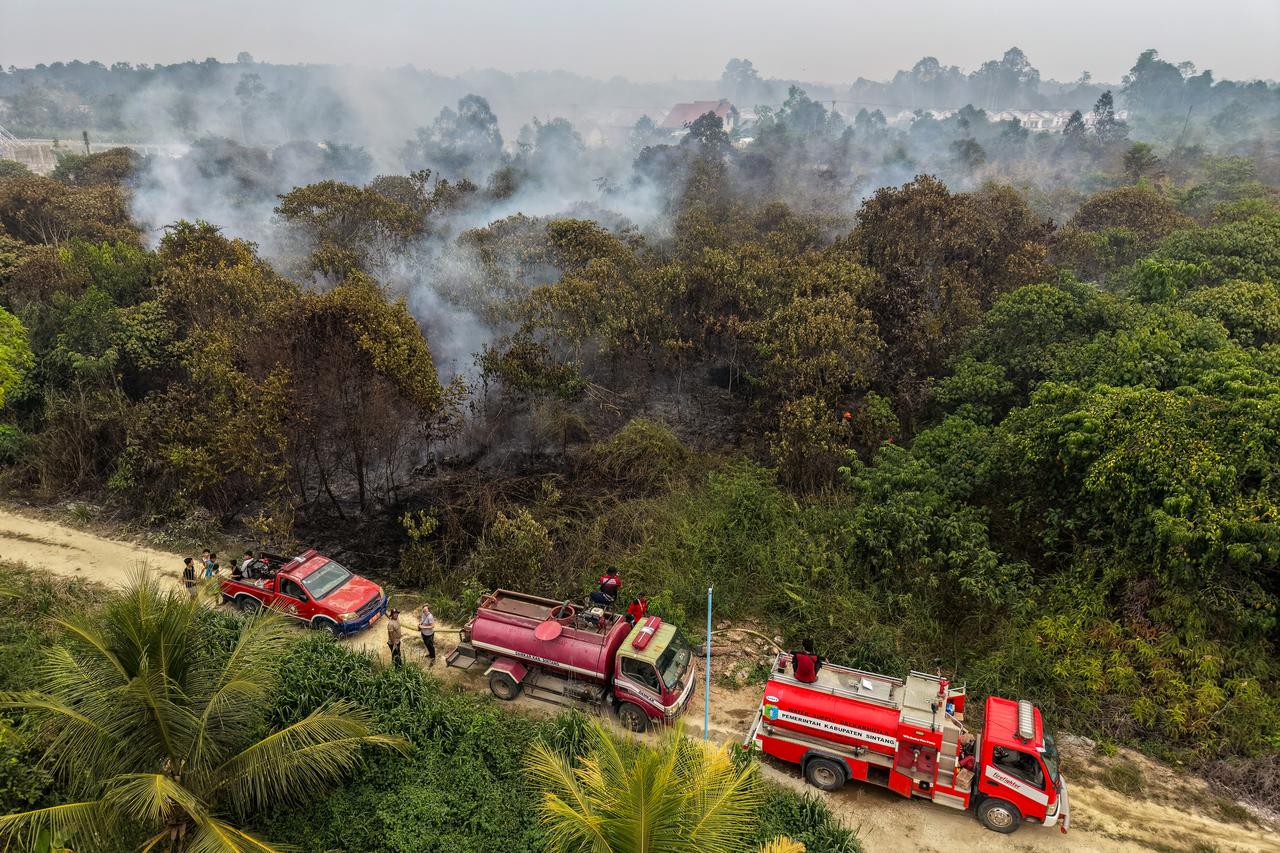 This aerial picture shows firefighters battling peatland fires in Sintang, West Kalimantan, on Sept. 5, 2026. (AFP Photo)
