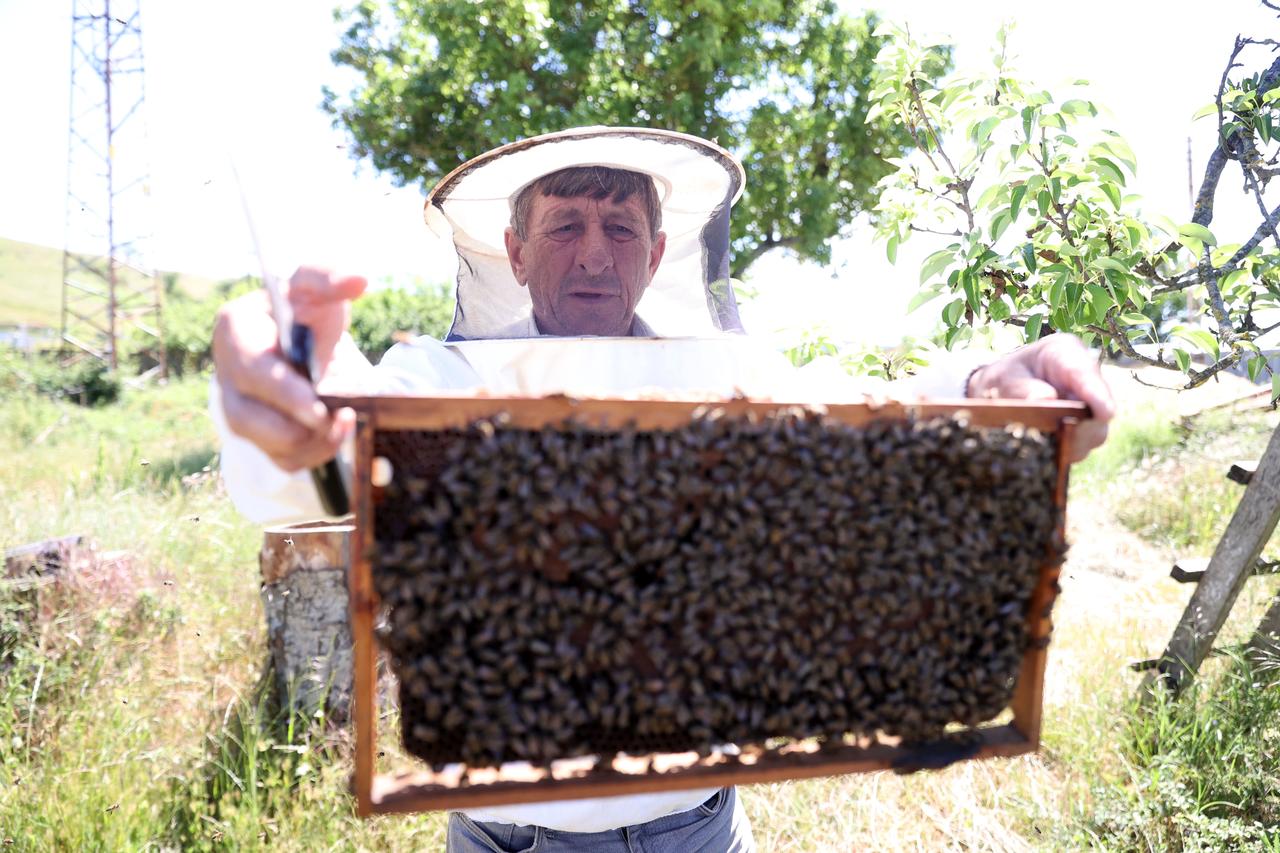 Former Istanbul driver finds peace as village beekeeper