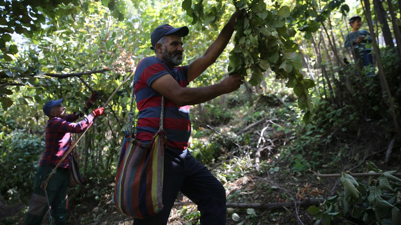 Anadolu Agency