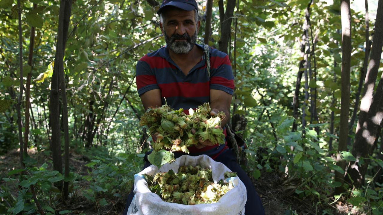Anadolu Agency