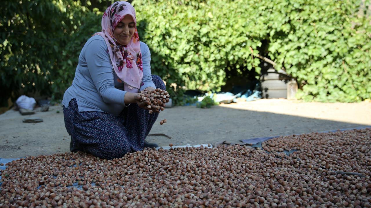 Anadolu Agency
