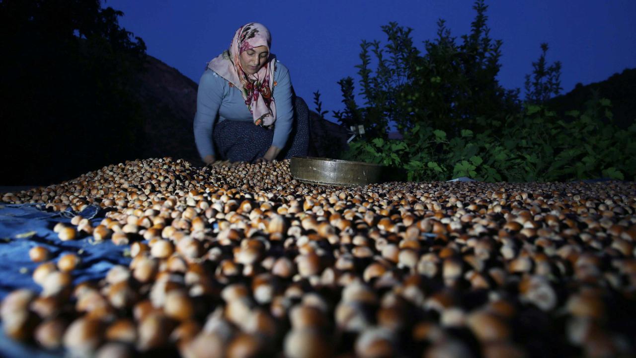 Anadolu Agency