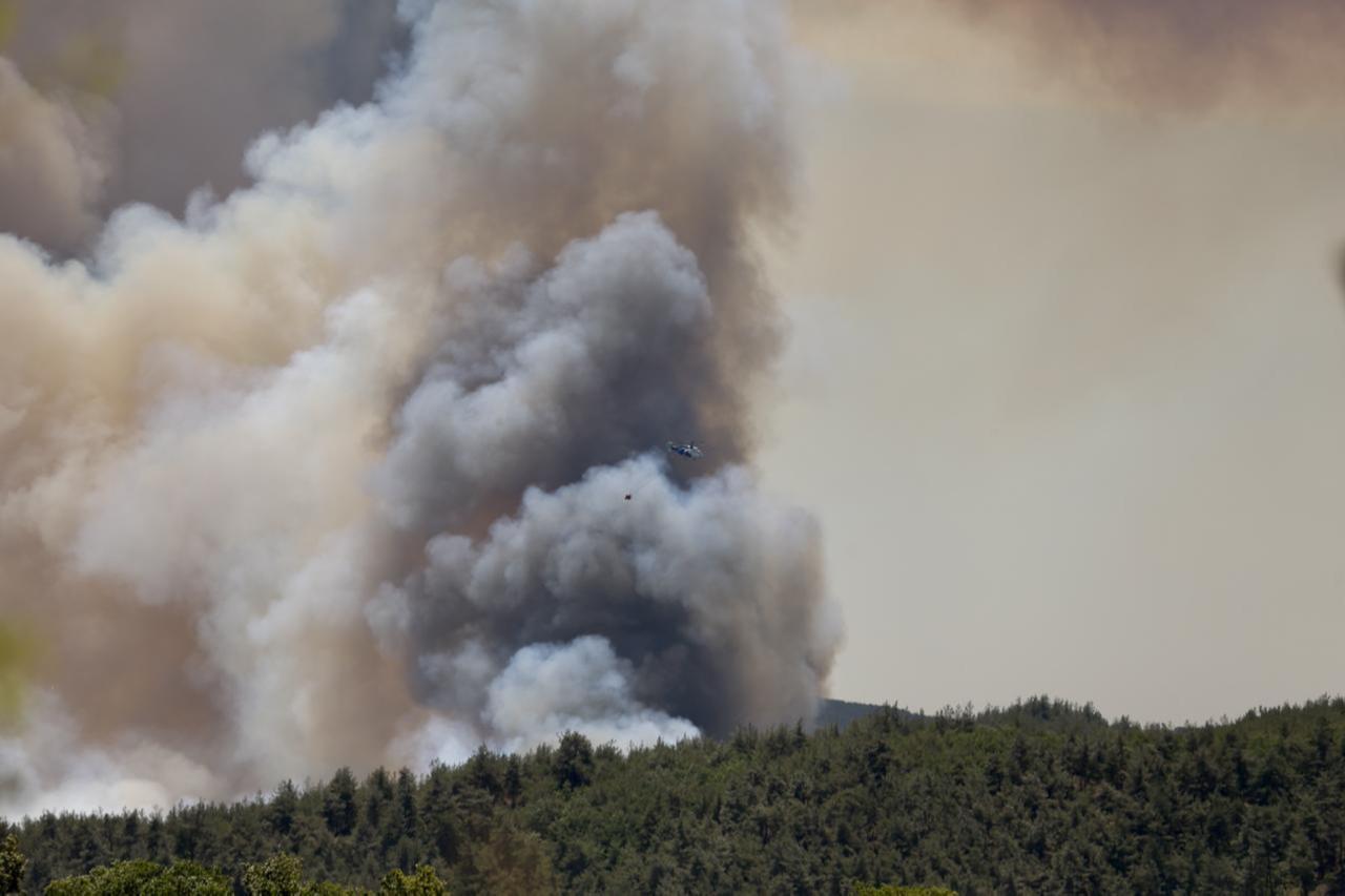 Wildfires, heat waves threaten global air quality gains, WMO warns