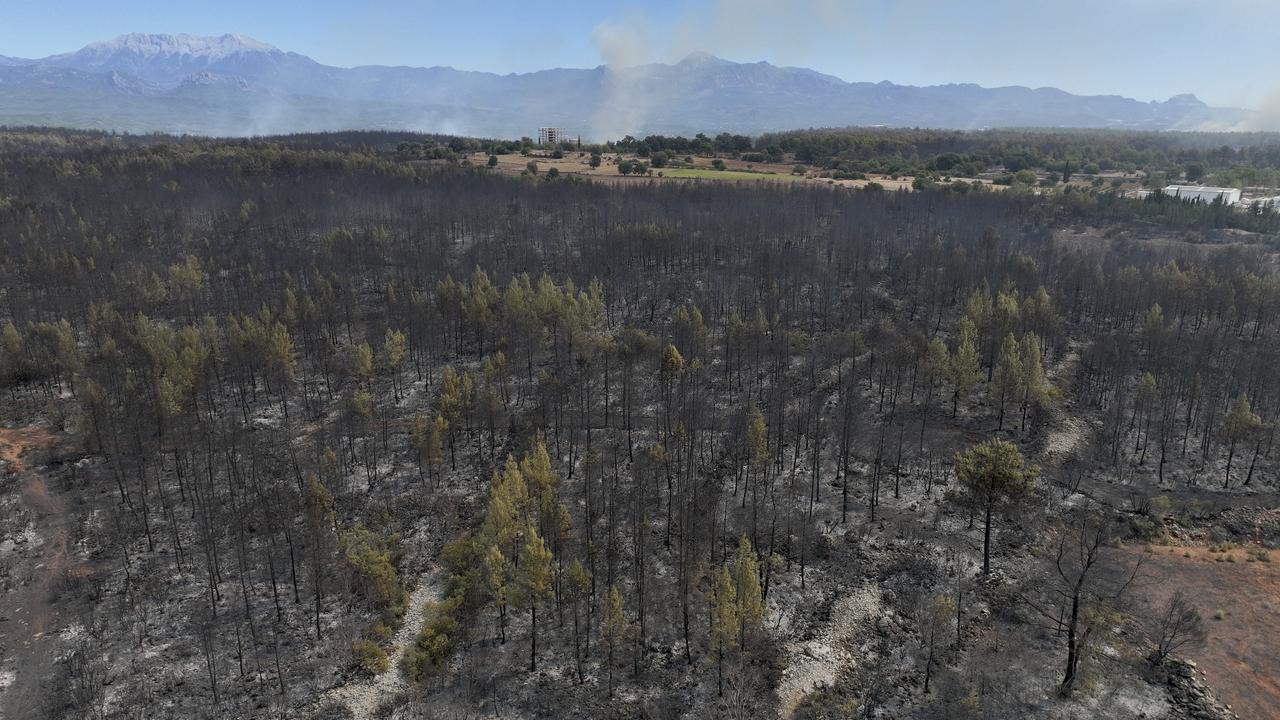 Forest fire forces mass evacuations in Antalya, Turkiye