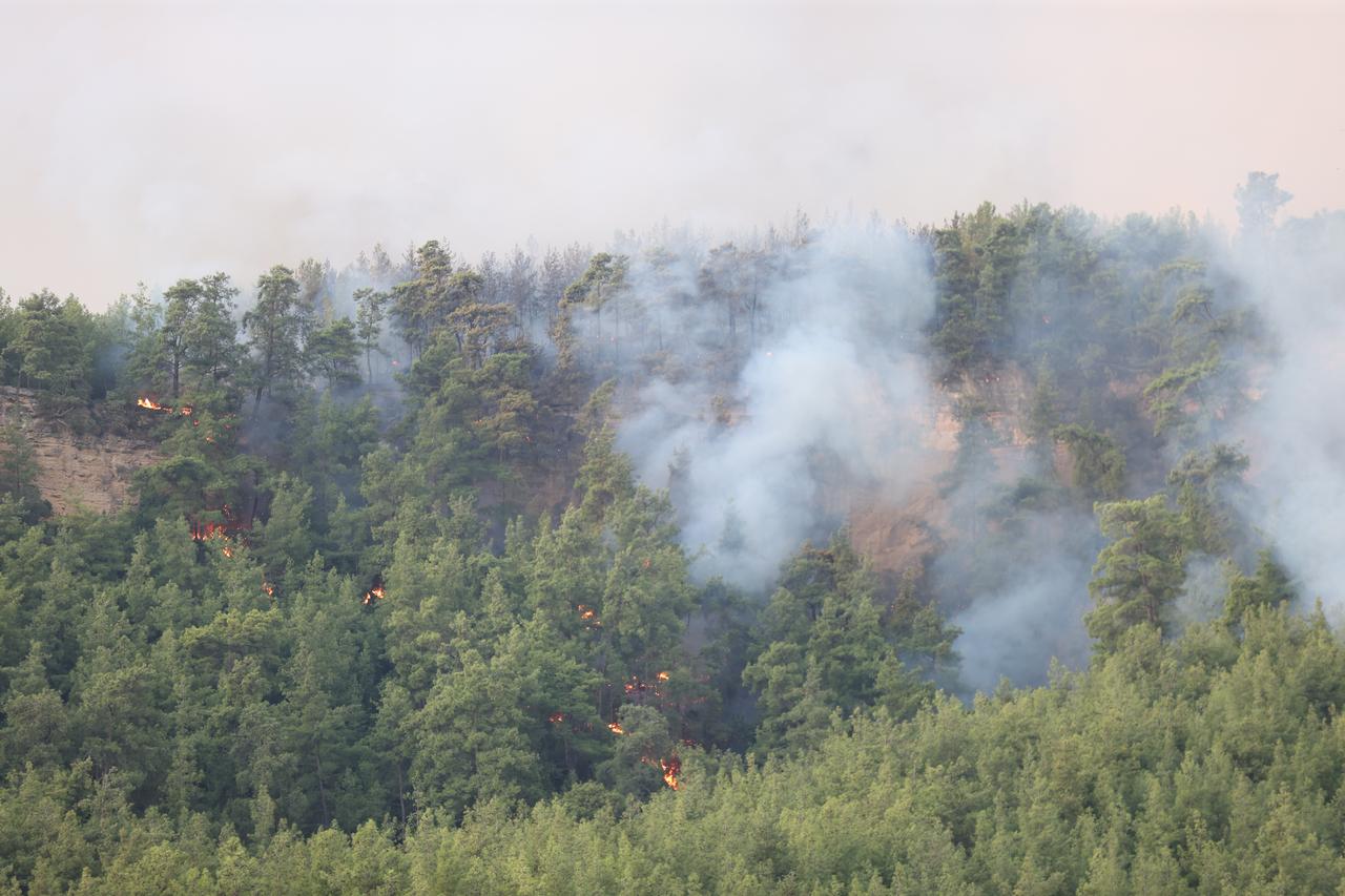 Smoke rises from a forested area as flames spread through woodland during a wildfire in Antalya, Türkiye. (AA Photo)