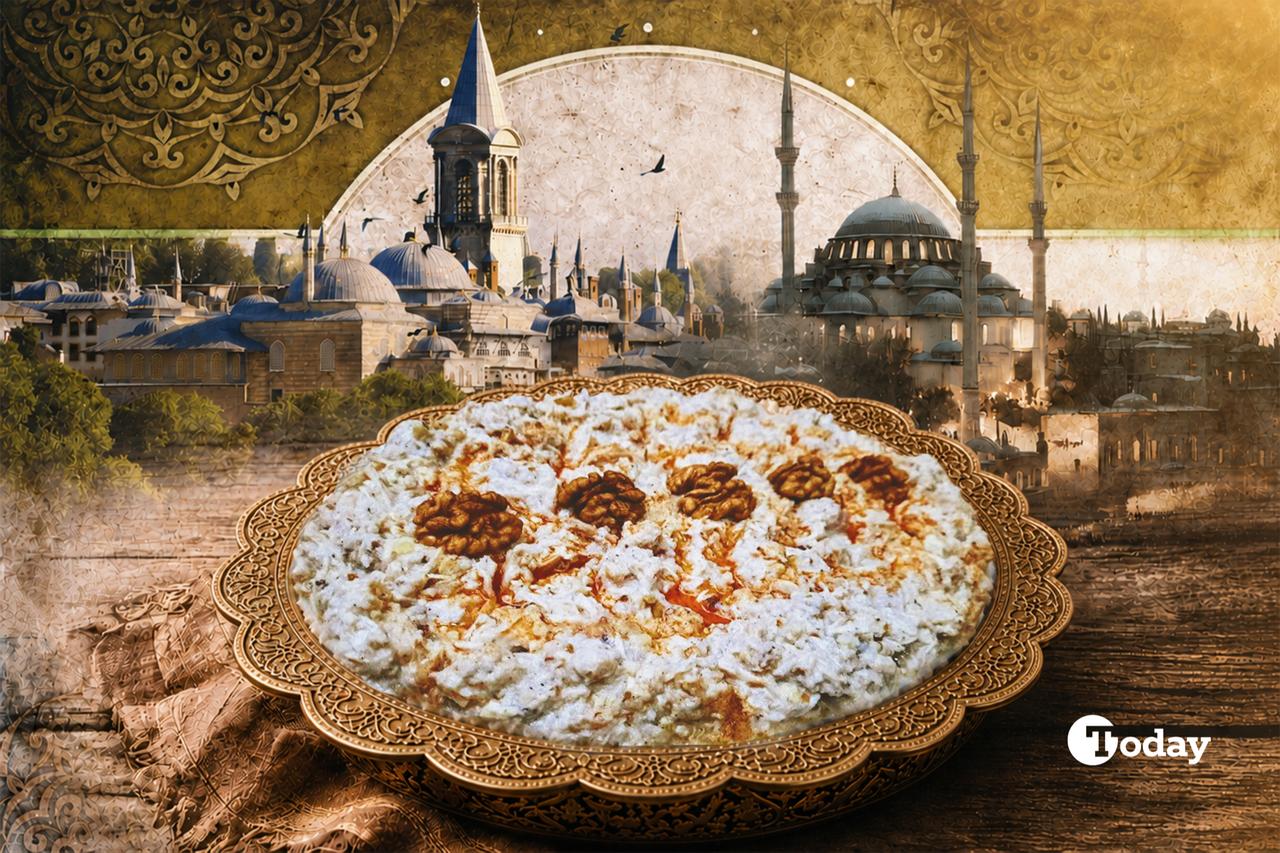 Otto Eats: Cerkez tavugu—gatekept, cancelled, and still tastes like a flex