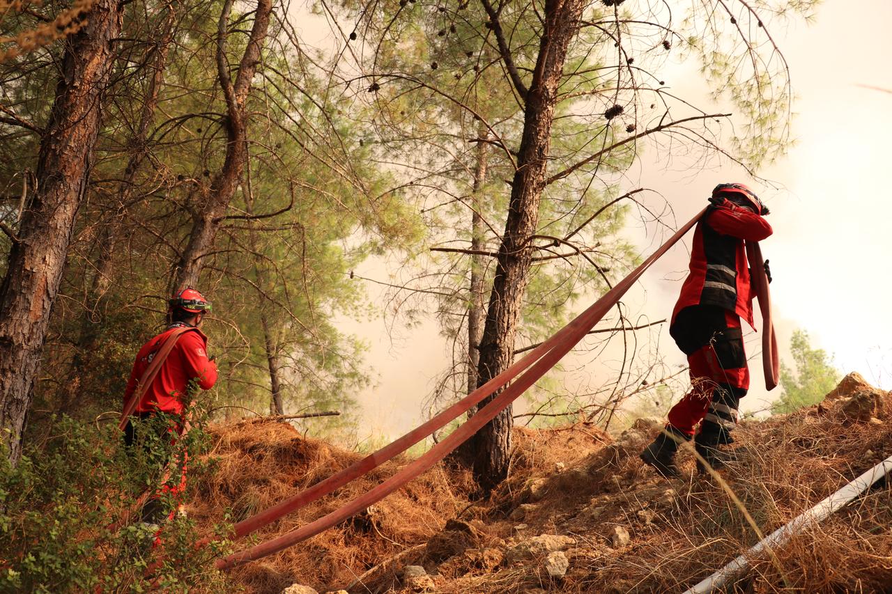 The couple dragging heavy fire hoses uphill through dense pine terrain to reach the frontlines in Antalya. (AA Photo)