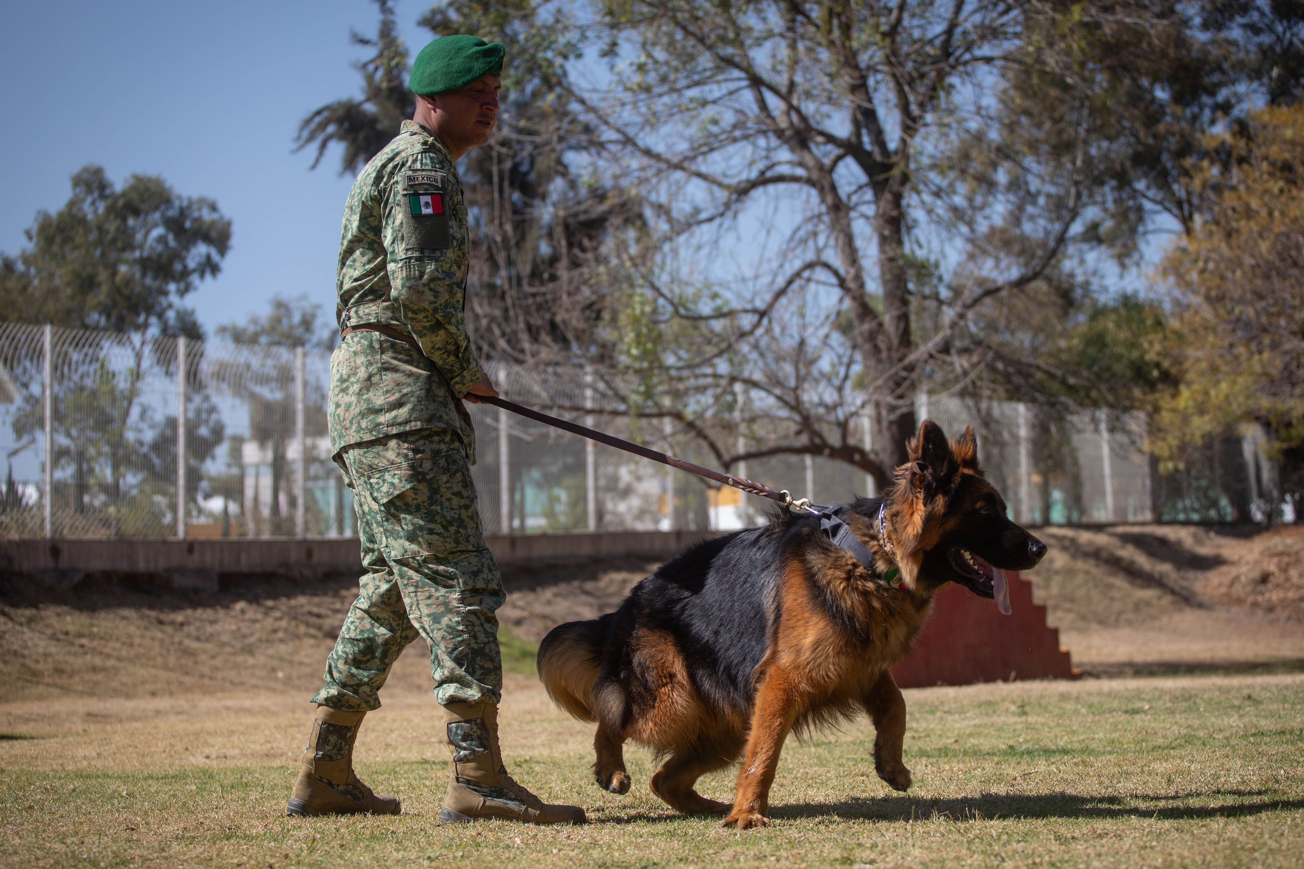 Rescue dog 'Arkadas,' gifted by Türkiye continues training in Mexico