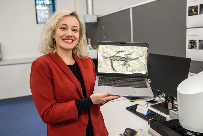 Paleontological analysis of famous fossil shows that it is just paint