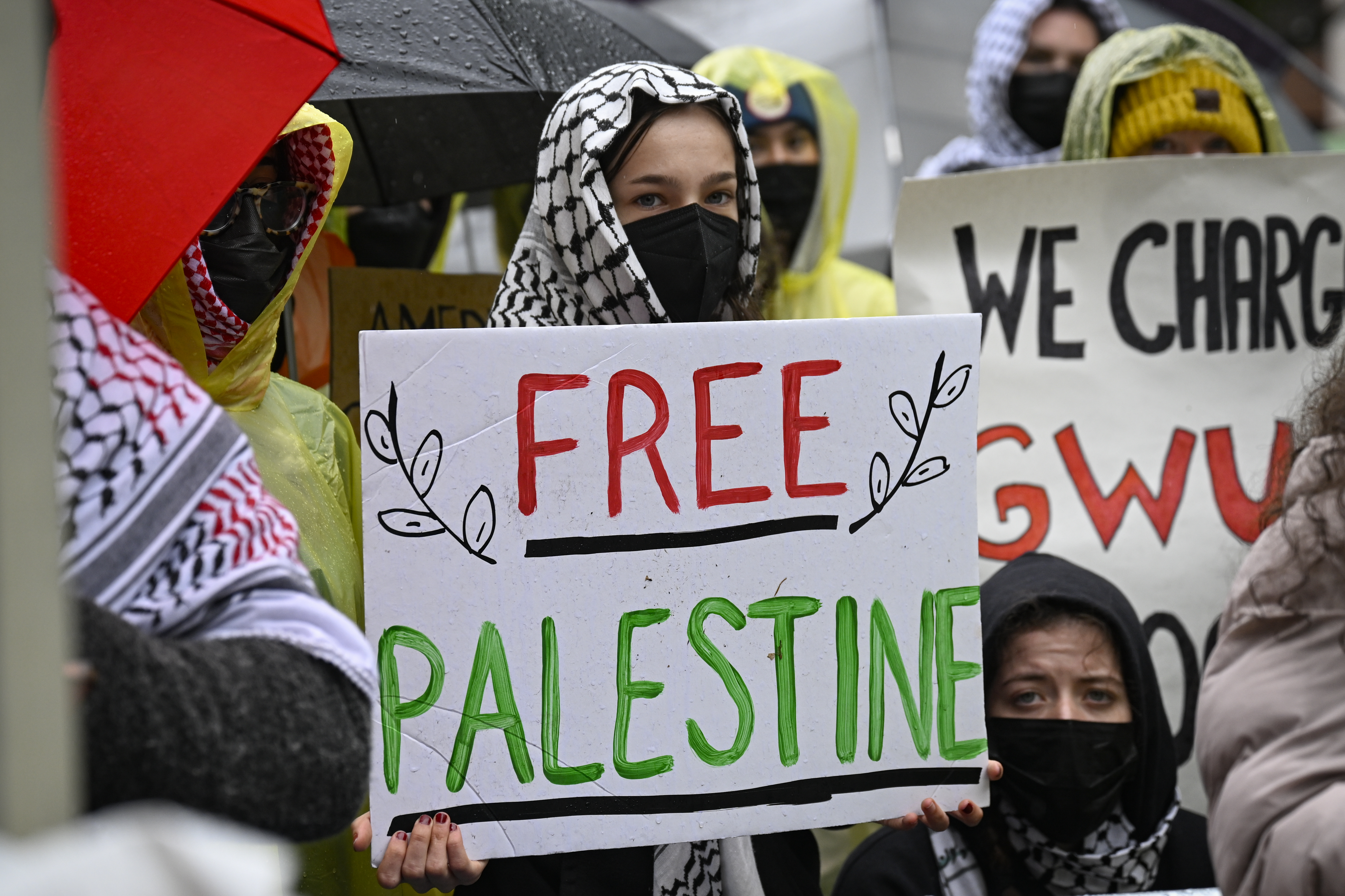 Pro-Palestine protests not a threat to Jewish student, Jewish Council says
