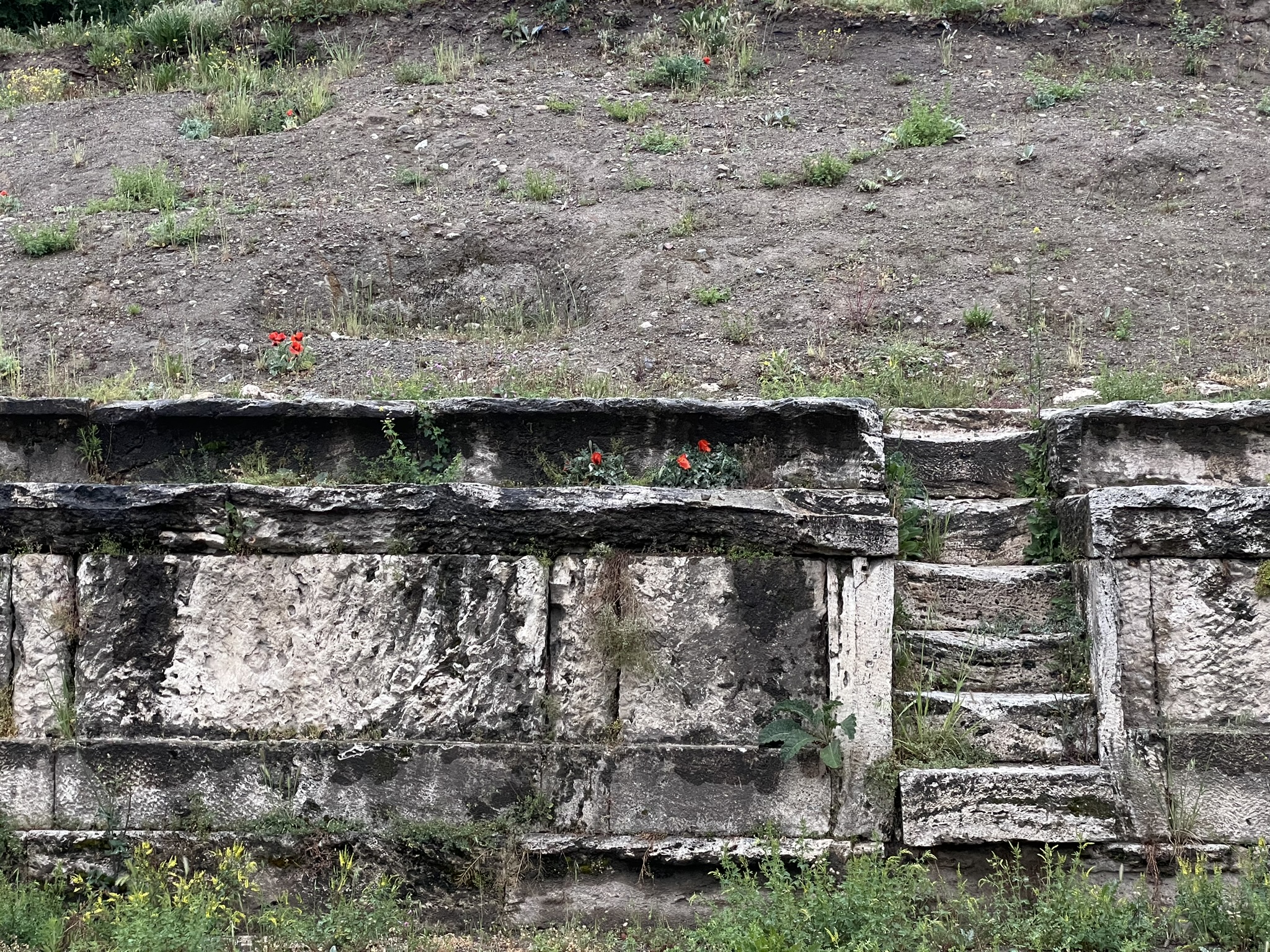 Unearthing Claudiopolis: Bolu's ancient stadium reveals Roman era secrets