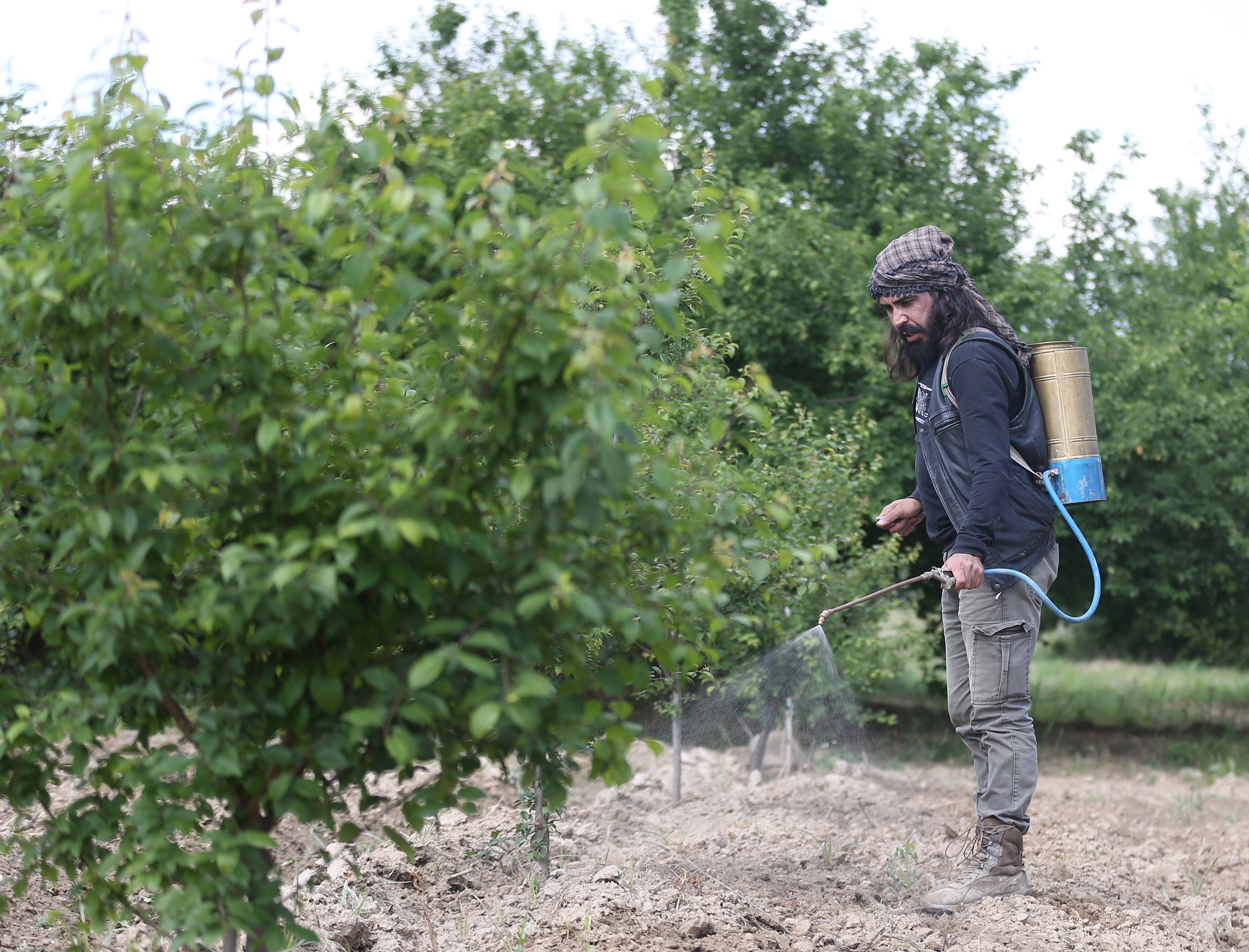Both farmer and actor: From the fields to the sets
