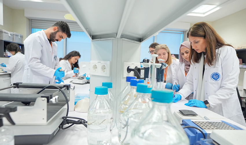 New drug model for ovarian cancer treatment developed in Türkiye