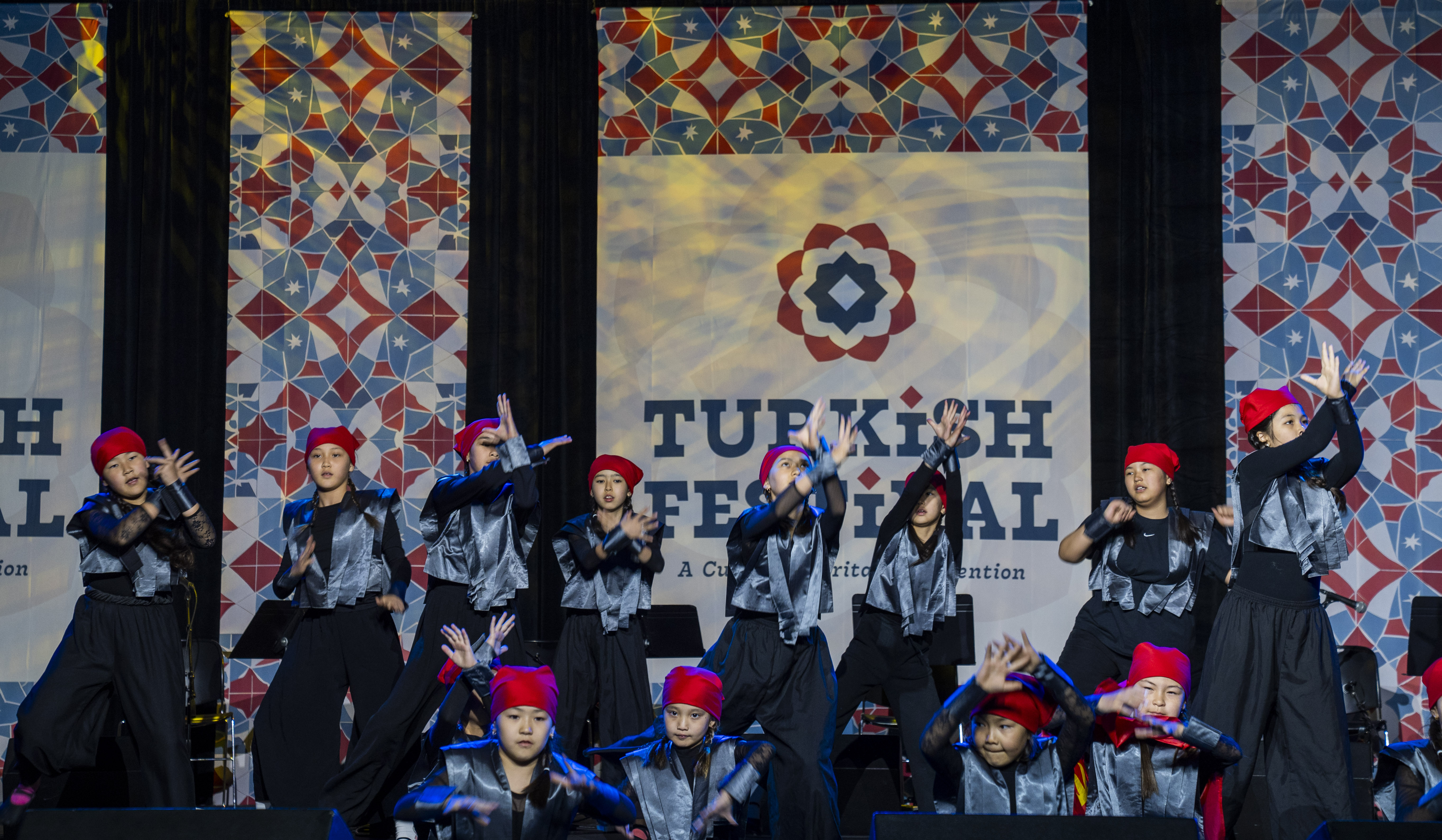 'Reconnecting with roots': Chicago Turkish Festival unites communities in US